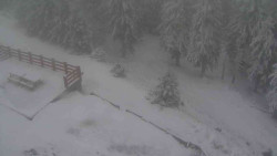 Přístup na běžeckou trať