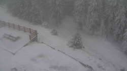 Přístup na běžeckou trať