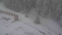 Přístup na běžeckou trať