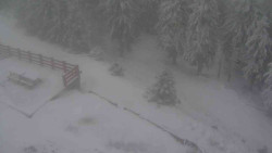 Přístup na běžeckou trať