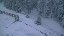 Přístup na běžeckou trať