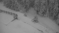 Přístup na běžeckou trať