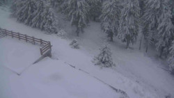 Přístup na běžeckou trať