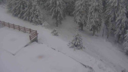 Přístup na běžeckou trať