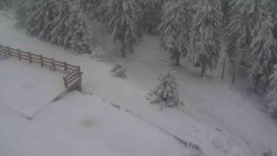 Přístup na běžeckou trať