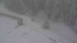 Přístup na běžeckou trať