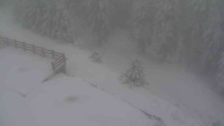 Přístup na běžeckou trať