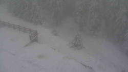 Přístup na běžeckou trať