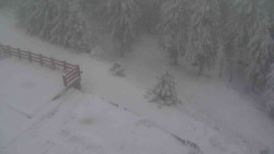 Přístup na běžeckou trať