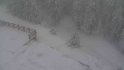 Přístup na běžeckou trať