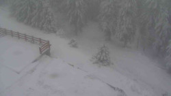 Přístup na běžeckou trať