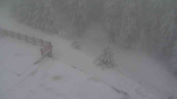 Přístup na běžeckou trať