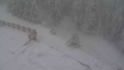 Přístup na běžeckou trať