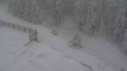 Přístup na běžeckou trať