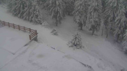 Přístup na běžeckou trať