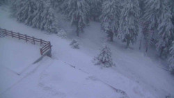 Přístup na běžeckou trať