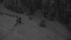 Přístup na běžeckou trať