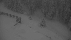 Přístup na běžeckou trať