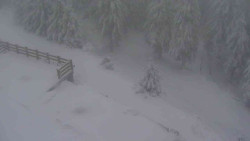 Přístup na běžeckou trať