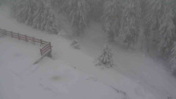 Přístup na běžeckou trať