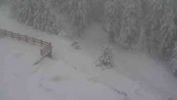 Přístup na běžeckou trať