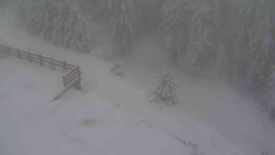 Přístup na běžeckou trať