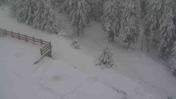 Přístup na běžeckou trať