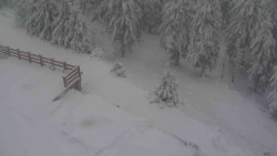 Přístup na běžeckou trať