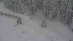 Přístup na běžeckou trať