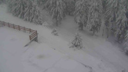 Přístup na běžeckou trať