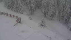 Přístup na běžeckou trať