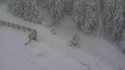 Přístup na běžeckou trať