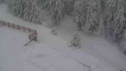 Přístup na běžeckou trať