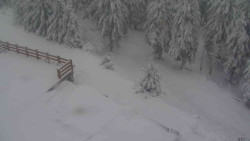 Přístup na běžeckou trať