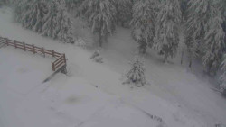 Přístup na běžeckou trať