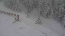 Přístup na běžeckou trať