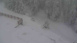 Přístup na běžeckou trať