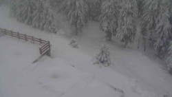 Přístup na běžeckou trať