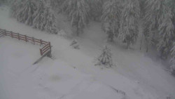 Přístup na běžeckou trať