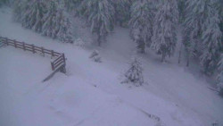 Přístup na běžeckou trať