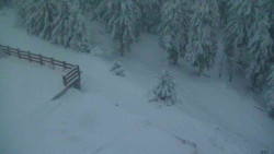 Přístup na běžeckou trať