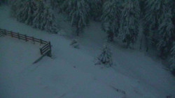 Přístup na běžeckou trať