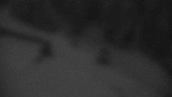 Přístup na běžeckou trať