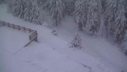 Přístup na běžeckou trať