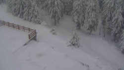 Přístup na běžeckou trať