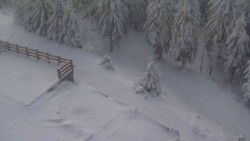 Přístup na běžeckou trať