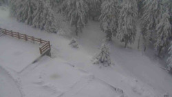 Přístup na běžeckou trať