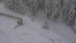 Přístup na běžeckou trať