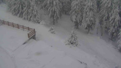 Přístup na běžeckou trať