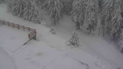 Přístup na běžeckou trať